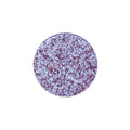Multichrome D31