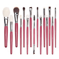 Set 15 pensule machiaj profesionale Deep Red