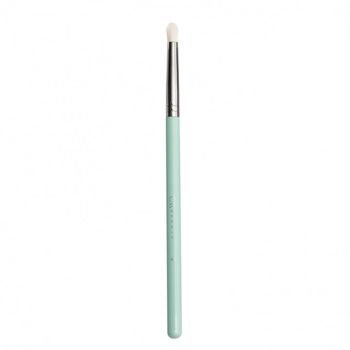 Blending & Detail Brush