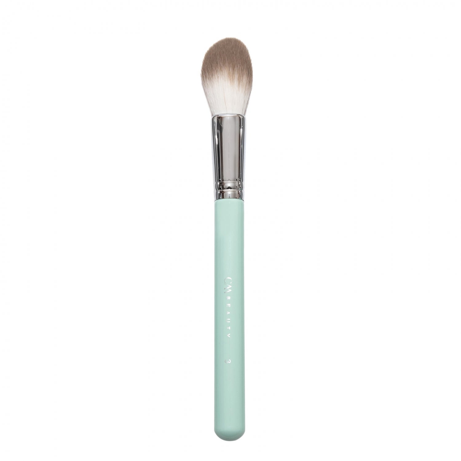 Blush, Highlight & Precision Powder Brush