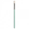 Powder & Eyeshadow Blending Brush