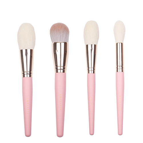 Set 10 pensule machiaj profesionale Pink Perfection